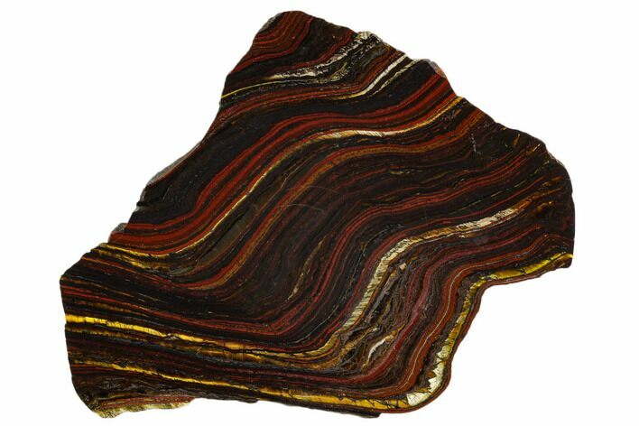 Polished Tiger Iron Stromatolite - Billion Years #129270